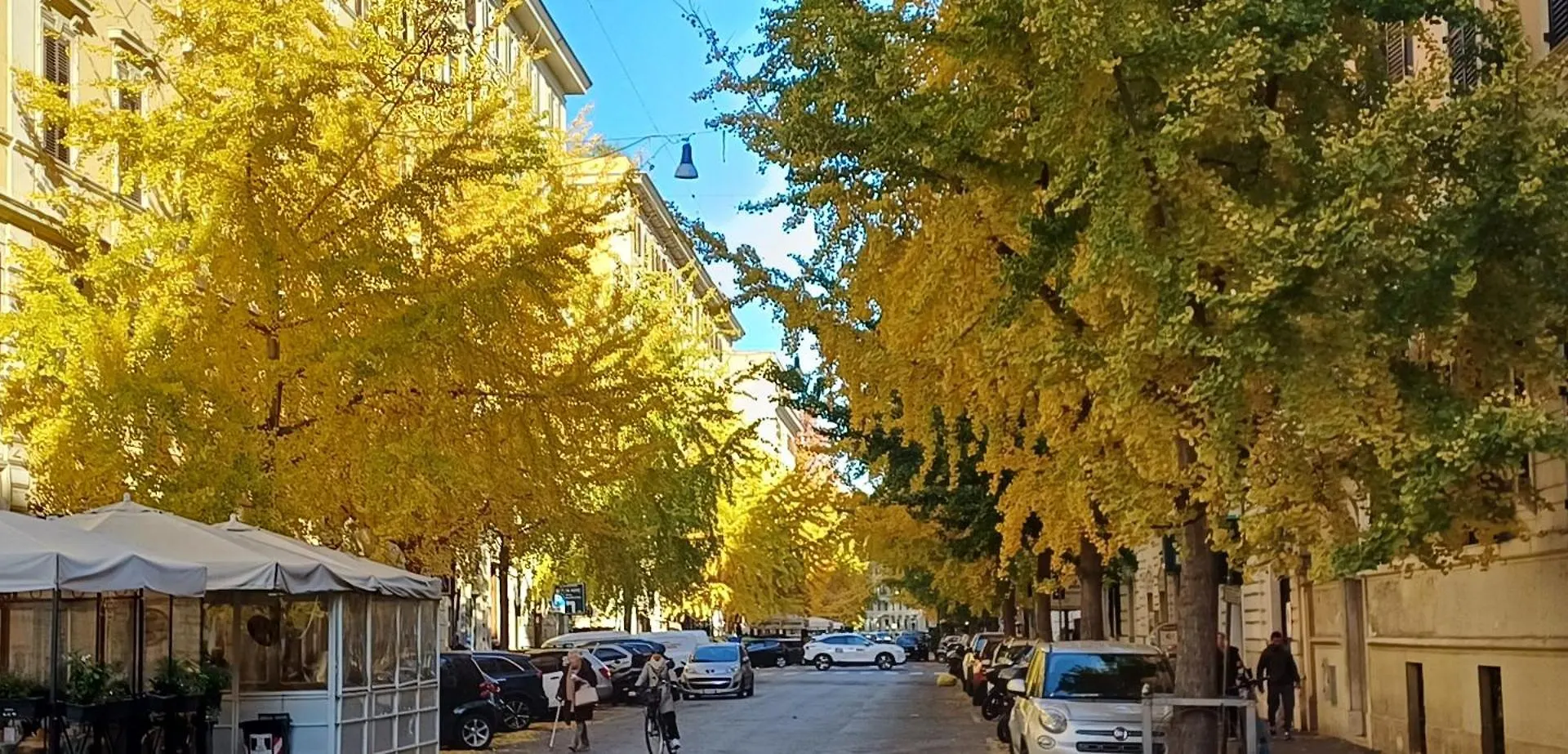 La Casa Dei Papi 71 Apartment Rome